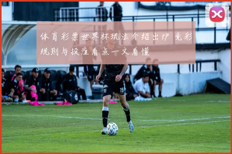 体育彩票世界杯玩法介绍出炉 竞彩规则与投注看点一文看懂