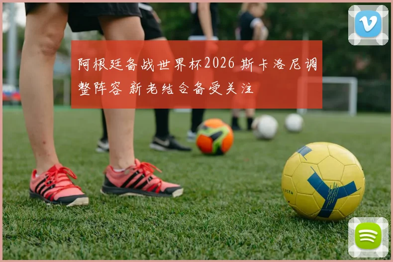 阿根廷备战世界杯2026 斯卡洛尼调整阵容 新老结合备受关注