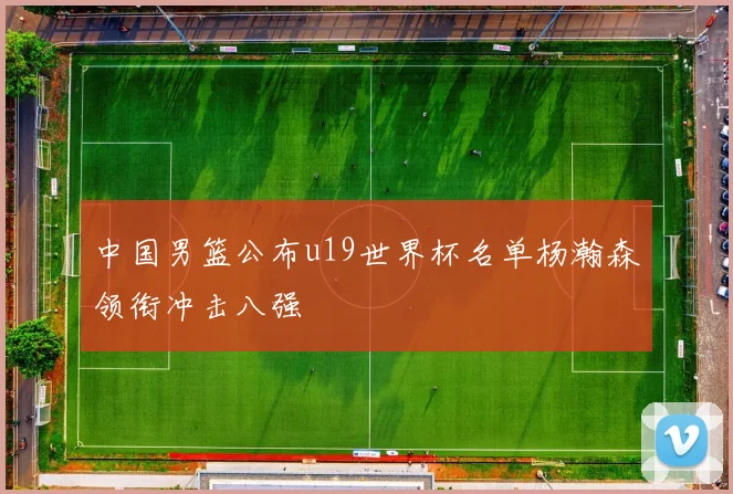 中国男篮公布u19世界杯名单杨瀚森领衔冲击八强