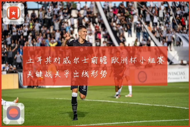 土耳其对威尔士前瞻 欧洲杯小组赛关键战关乎出线形势