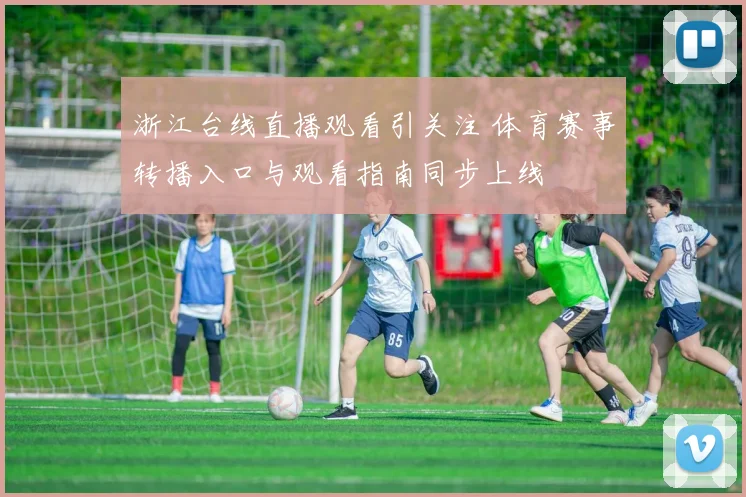 浙江台线直播观看引关注 体育赛事转播入口与观看指南同步上线