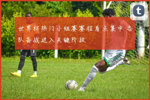世界杯热门小组赛赛程看点集中 各队备战进入关键阶段