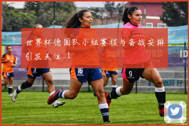 世界杯德国队小组赛程与备战安排引发关注_1