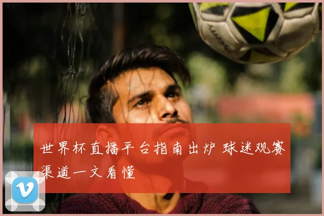 世界杯直播平台指南出炉 球迷观赛渠道一文看懂