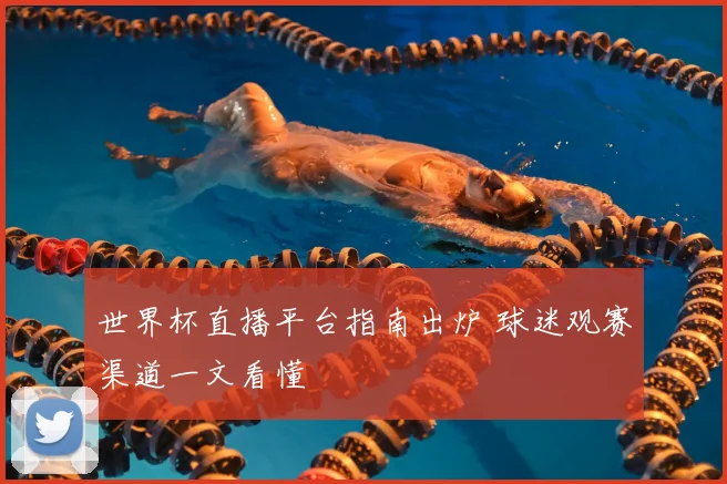 世界杯直播平台指南出炉 球迷观赛渠道一文看懂